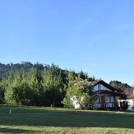 מלון Zacatlán Casa Kitsch מראה חיצוני תמונה