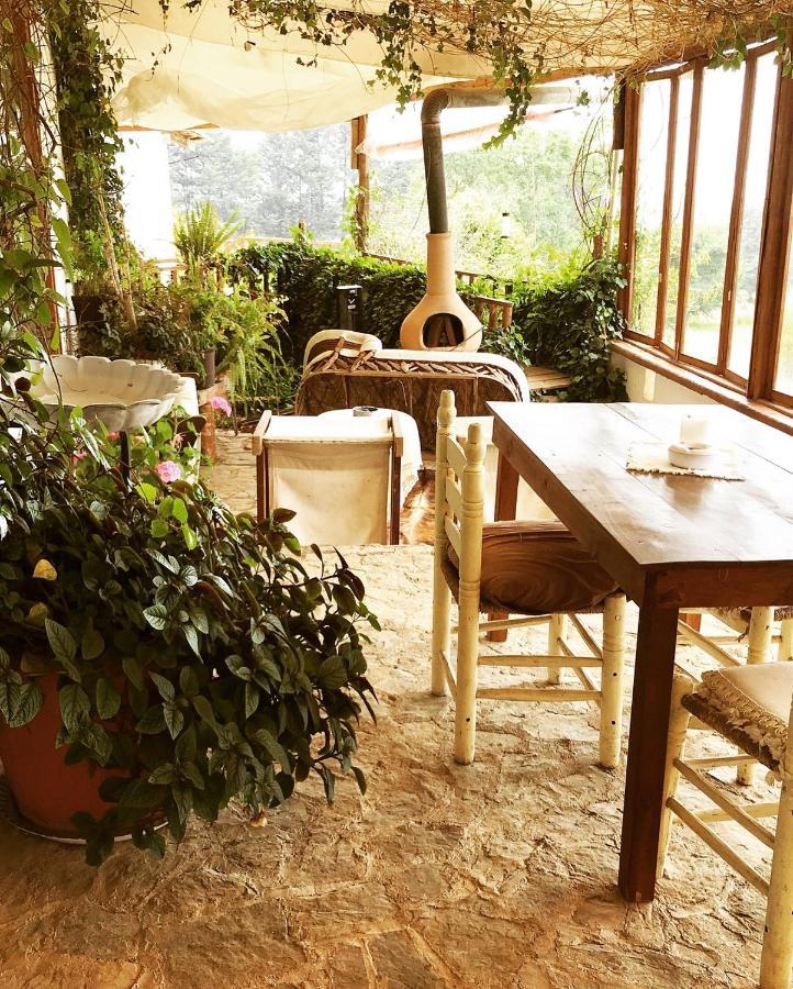 מלון Zacatlán Casa Kitsch מראה חיצוני תמונה